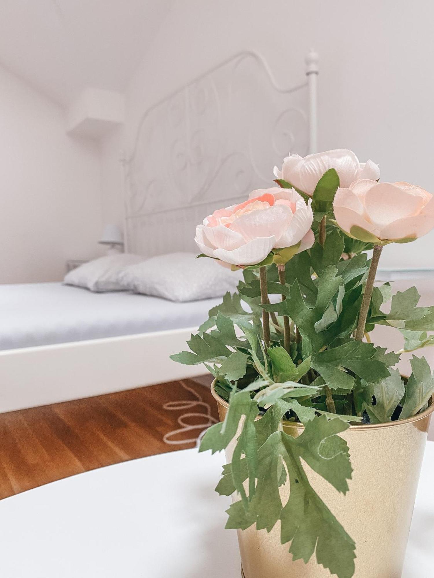 Blue Lotus Apartments 브라티슬라바 외부 사진